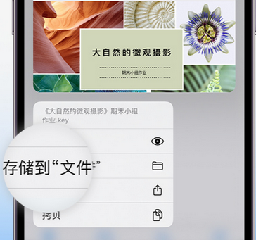 同江apple维修中心分享iPhone文件应用中存储和找到下载文件