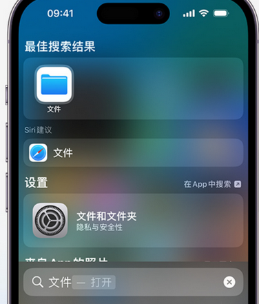 同江apple维修中心分享iPhone文件应用中存储和找到下载文件 