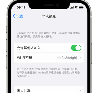 同江apple服务站点分享iPhone上个人热点丢失了怎么办