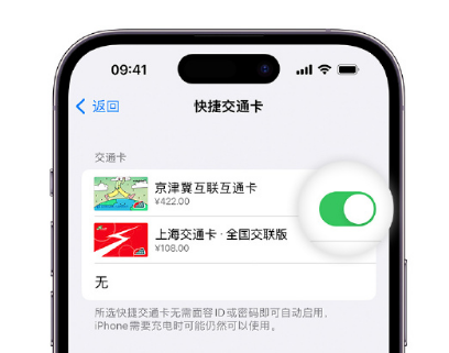 同江apple维修点分享iPhone上更换Apple Pay快捷交通卡手绘卡面 