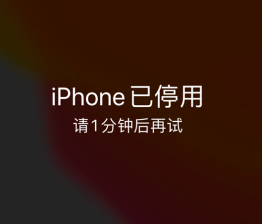 同江苹果手机维修分享:iPhone 显示“不可用”或“已停用”怎么办？还能保留数据吗？ 