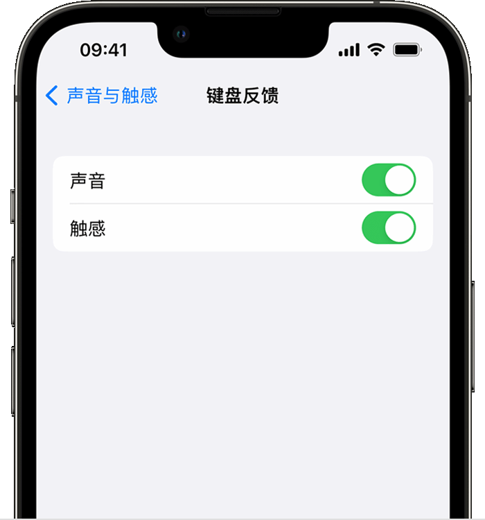 同江苹果14维修店分享如何在 iPhone 14 机型中使用触感键盘 