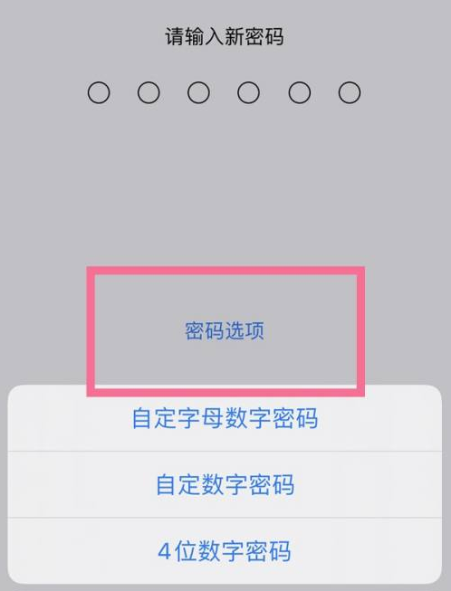 同江苹果14维修分享iPhone 14plus设置密码的方法 