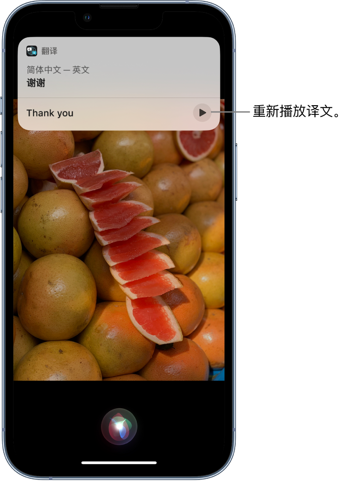 同江苹果14维修分享 iPhone 14 机型中使用 Siri：了解 Siri 能帮你做什么 