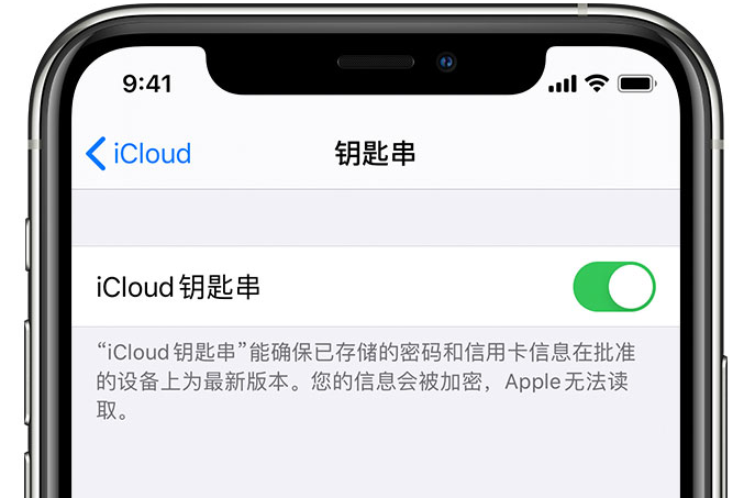 同江苹果手机维修分享在 iPhone 上开启 iCloud 钥匙串之后会储存哪些信息 