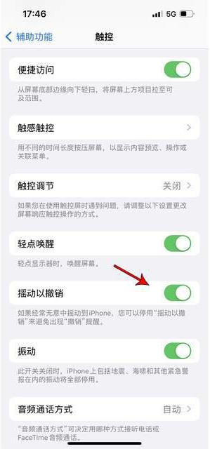 同江苹果手机维修分享iPhone手机如何设置摇一摇删除文字 