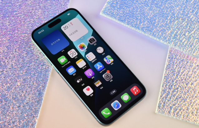 同江苹果手机维修分享为什么大家不喜欢苹果iPhone 16 Plus 
